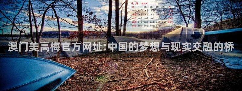 壹号app下载苹果