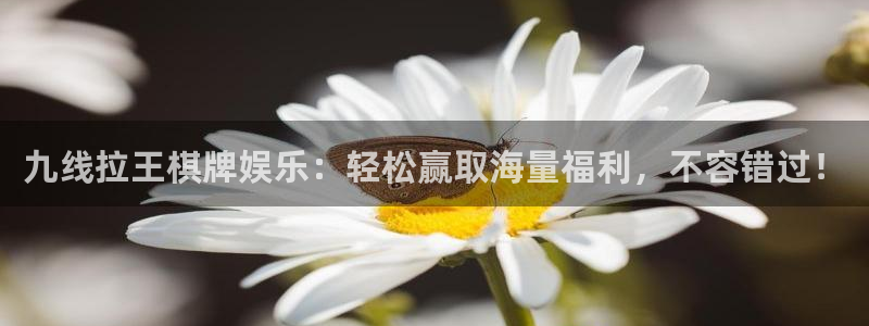 壹号大舞台怎么注册