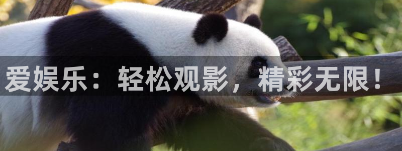 壹号电子娱乐app