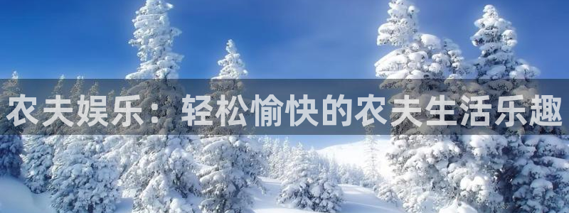 壹号大舞台网站