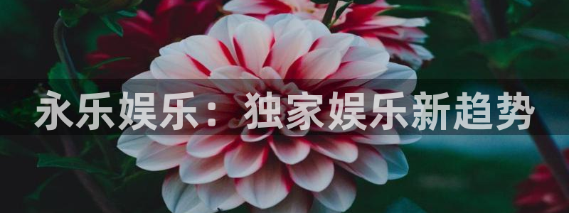 恒行能退款吗