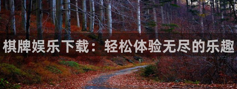 壹号电子娱乐app下载最新版