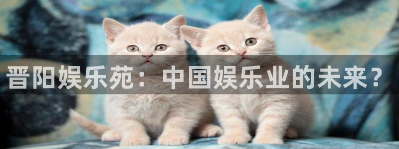 壹号平台下载安装官网