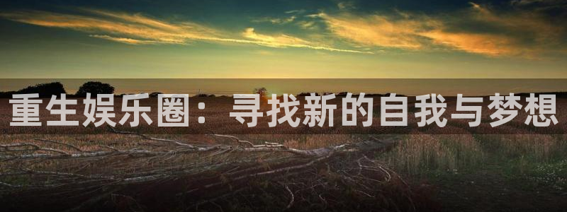 壹号下载安装