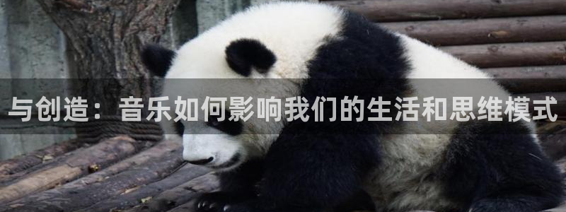 壹号电子娱乐app下载最新版本：与创造：音乐如何影响我们的生活和思维模式
