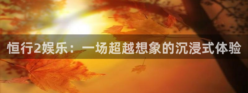 恒行app下载安装：恒行2娱乐：一场超越想象的沉浸式体验