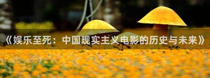 恒行平台app下载安装：《娱乐至死：中国现实主义电影的历史与未来》