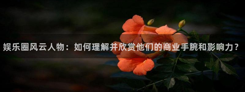 壹号app下载：娱乐圈风云人物：如何理解并欣赏他们的商业手腕和影响力？