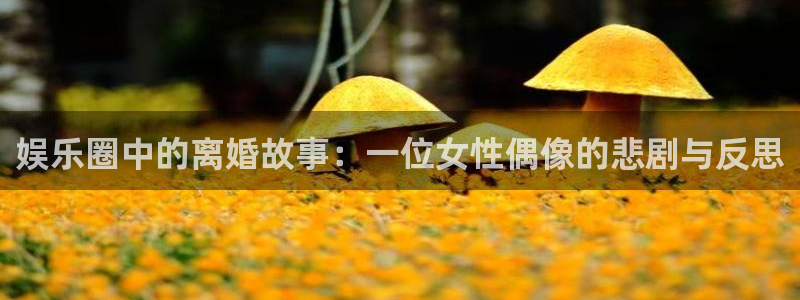 壹号下载安装：娱乐圈中的离婚故事：一位女性偶像的悲剧与反思
