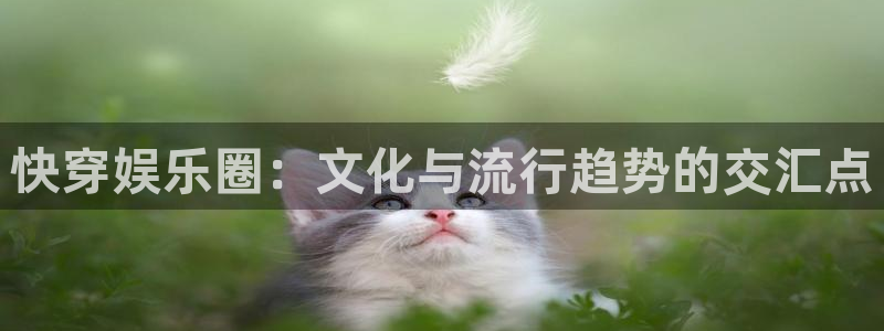 壹号注册入口app下载：快穿娱乐圈：文化与流行趋势的交汇点