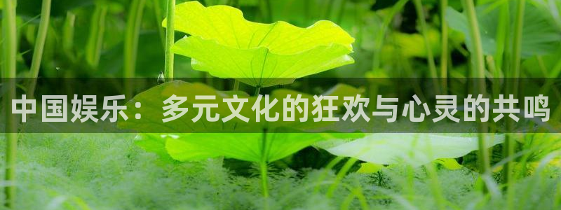 壹号官网app下载安装