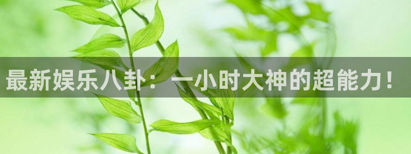 壹号app下载苹果