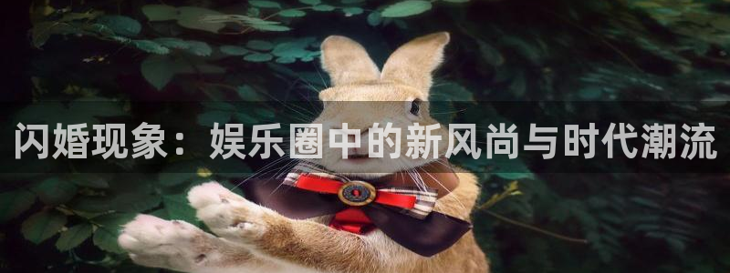 壹号电子娱乐app下载