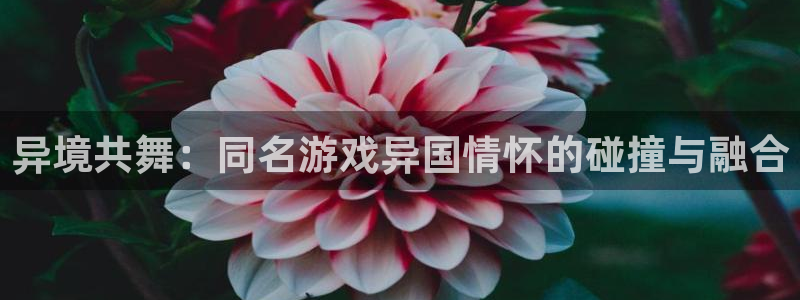 恒行网站
