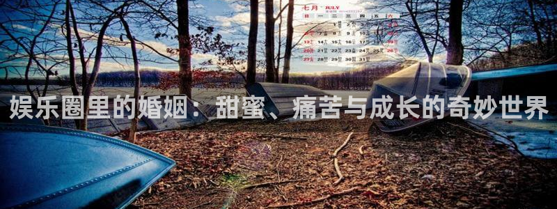 恒行.com：娱乐圈里的婚姻：甜蜜、痛苦与成长的奇妙世界