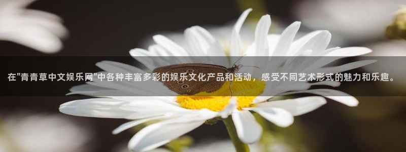 壹号大舞台怎么注册：在\