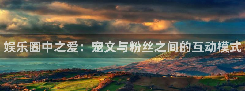 壹号大舞台怎么注册：娱乐圈中之爱：宠文与粉丝之间的互动模式
