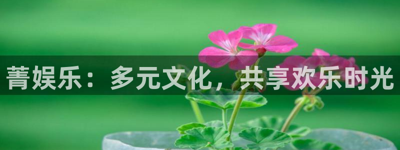 壹号官方app下载安装