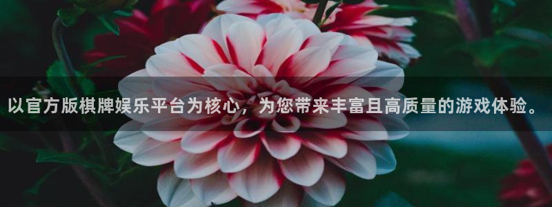 下载恒行app