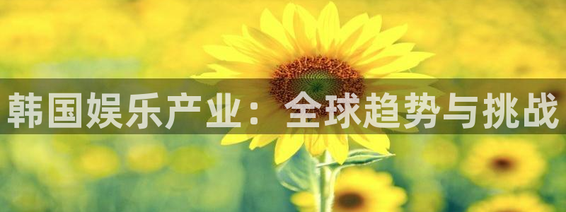 壹号电子娱乐app下载安装