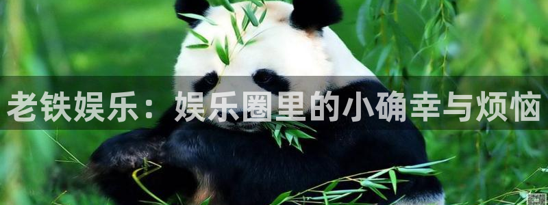 恒行能退款吗