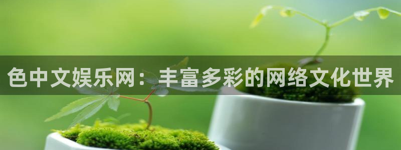 恒行,com：色中文娱乐网：丰富多彩的网络文化世界